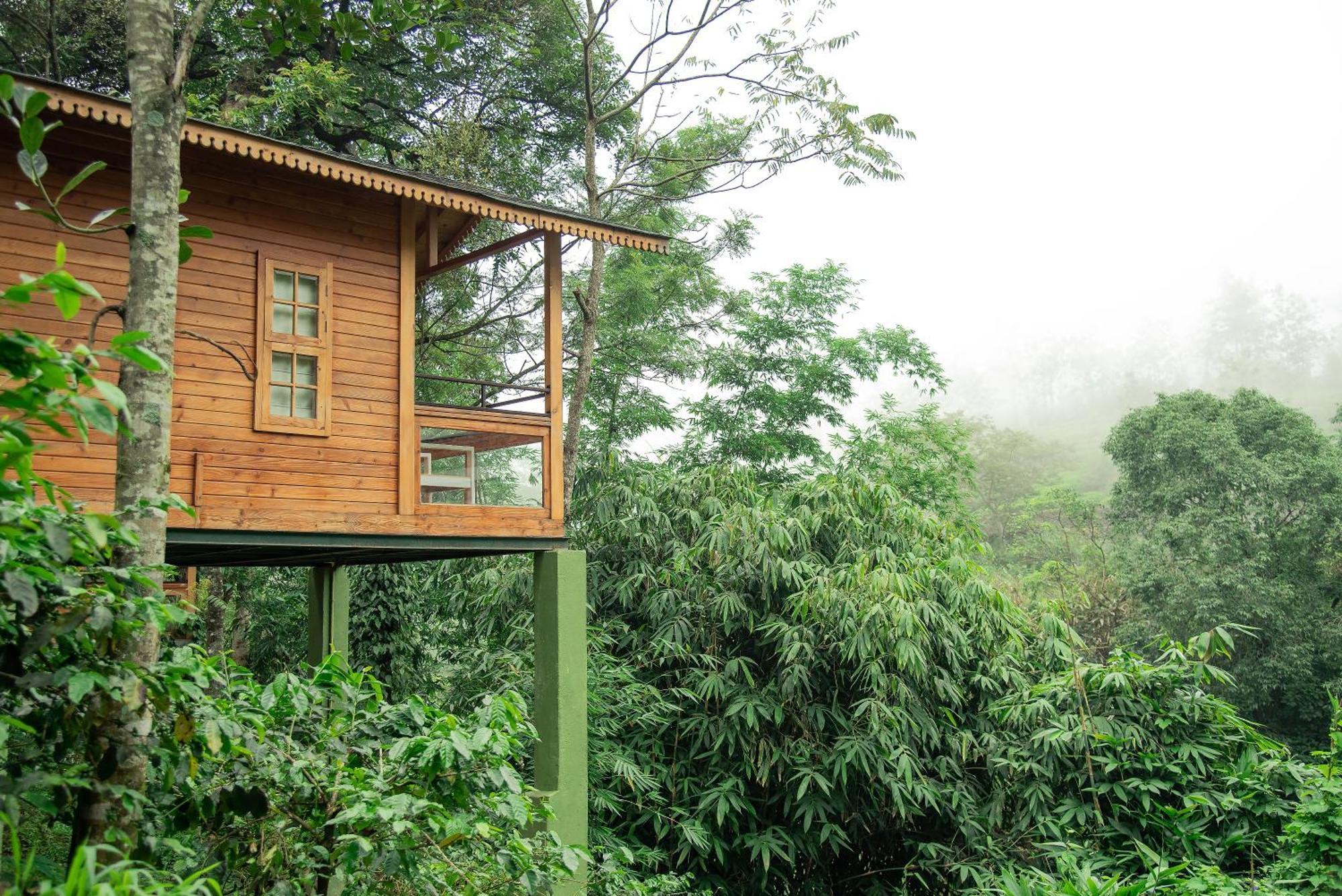 Misty Mountain Experience By Perfect Stays Pīrmed Dış mekan fotoğraf