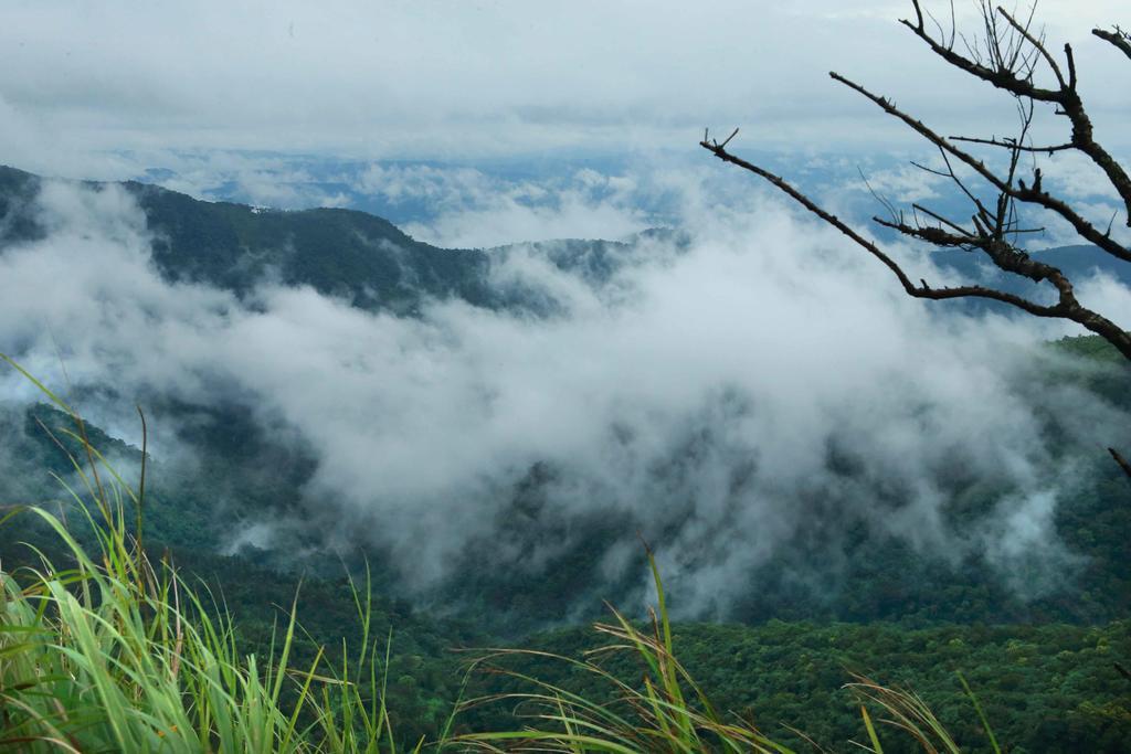 Misty Mountain Experience By Perfect Stays Pīrmed Dış mekan fotoğraf
